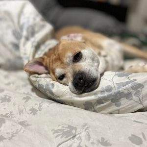 Meet your Posher, Cheryl